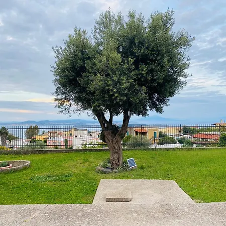 Appartement Grazioso Monolocale Nella Nolelu *