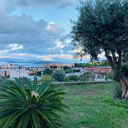 Grazioso Monolocale Nella Nolelu Appartement Barano dʼIschia